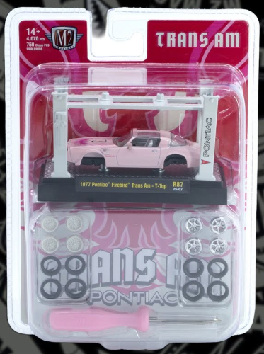 M2 Machines- '77 Pontiac Firebird Trans Am T-Top kit